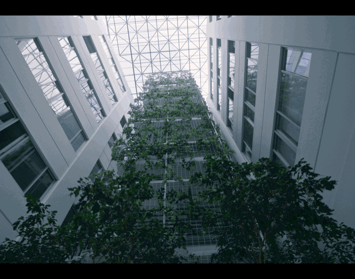 /media/eqpebwxn/building-1-1.png?width=700&height=550&v=1da2c08ed8bbed0