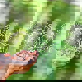 Shutterstock 2409526787 (1) (1)